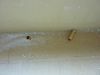 p1010766